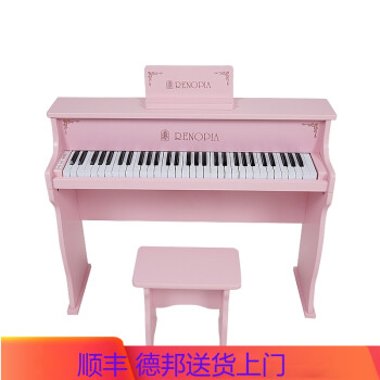 唯美（RENOPIA） 61键电钢琴初学者烤漆儿童早教宝宝 61键烤漆粉 标配款