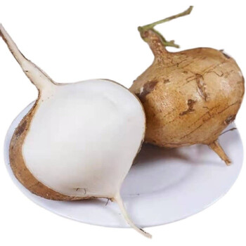 广西新鲜凉薯 农家自种白地瓜小番薯沙蔬菜 3斤