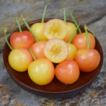 青樱红荔山东黄樱桃露天黄水晶黄色黄蜜黄金车厘子斤水果新鲜 11.