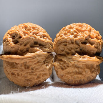 云铁文玩核桃精品配对机刷打底元宝金蟾蛤蟆 42mm左右(打底金蟾王)