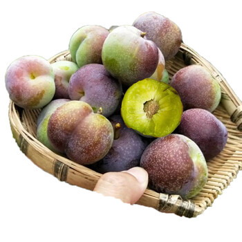 四川脱骨李空心李脆甜半边红李子新鲜水果2斤