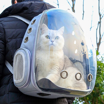 猫包大号猫背包猫包外出猫包太空舱猫咪背包便携旅行单双肩透明背包猫