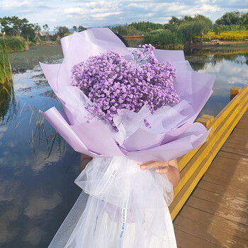 满天星大束成品鲜情人节闺蜜男友日干 【大束加量款】满天星花束紫色