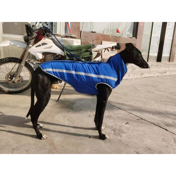 格力犬狗衣服灵缇惠比特犬衣服加绒保暖狗狗棉服棉衣拉链棉服蓝色xs