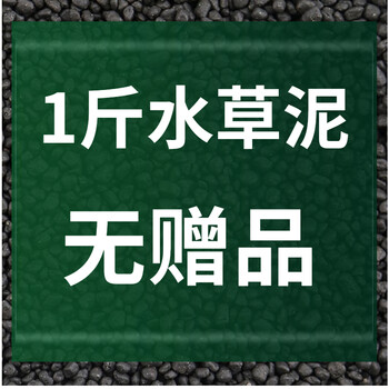 亚马逊水草泥ada 水草泥鱼缸底泥底砂造景草缸底沙净水免洗不浑水泥套餐1斤试用装 无 图片价格品牌报价 京东