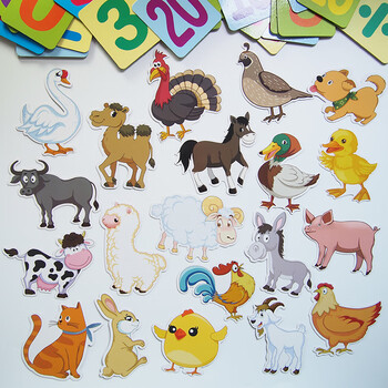 绿野客磁吸动物卡片教具幼儿园教师教学教具儿童早教黑板磁性贴水果数