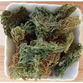 海粉 海粉 海兔粉 红海粉 海挂面 今 海粉50克