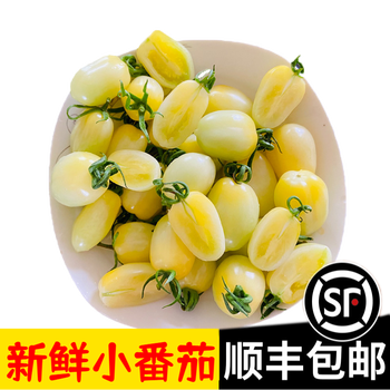 辰实【顺丰】山东白千禧圣女果 番茄生吃白色柿子现摘现发 3斤