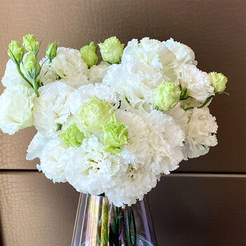 云醉花云南昆明基地直发鲜花送女友家用水养插花礼物礼品[洋桔梗0.