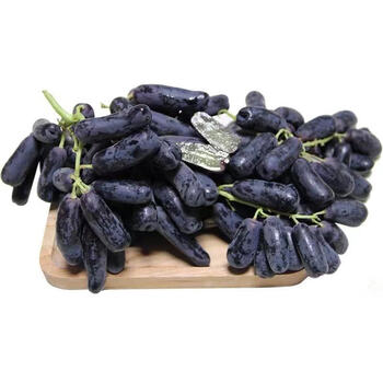 美人指黑提金手指无籽葡萄蓝宝石新鲜时令孕婴水果 1斤