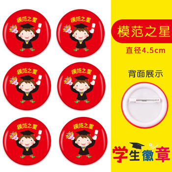 学生奖励徽章你真棒勋章胸章文明学习进步读书劳动之星胸牌 模范之星