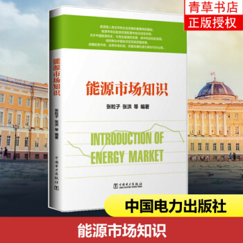 【2021新书】能源市场知识 张粒子 张洪 一本书读懂能源市场 能源市场电力市场管理和建设书籍 能源