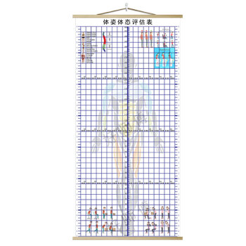 体态评估网格图挂式体态评估表体测健身房私教身体网格中医工作室背景