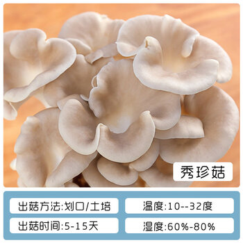 秀珍菇大袋装1包【图片 价格 品牌 报价】-京东