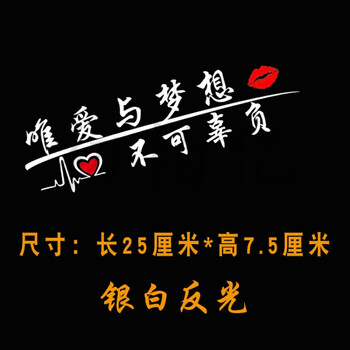 唯爱与梦想 2排字 银白 25x7厘米