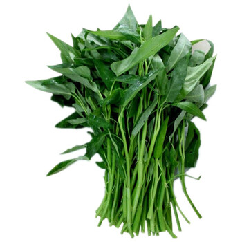 【京觅通心菜】(企业定制)京觅 珠烟 空心菜(白通) 500g【行情 报价 