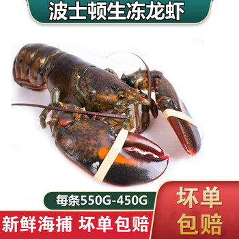 冷冻海鲜正关皇冠牌活冻古巴龙虾大龙虾冻龙虾3 3 5斤只一箱16斤 供应产品 广州市显宏食品贸易有限公司