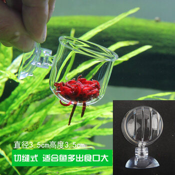 玻璃红虫杯鱼缸自动喂食器喂鱼器定时投食圈丰年虾鱼儿投喂圈玻璃切缝