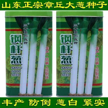 三育系列山东章丘钢杆大葱种子 大梧桐葱籽铁杆串 耐热防倒伏葱白长生长快 200克桶装钢杆葱+栽培书