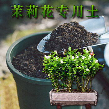 茉莉花土茉莉花专用土酸性家用花土壤养花种植土泥土通用型营养土有机