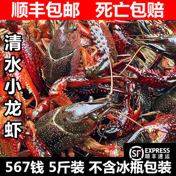 水产5斤567钱盱眙金湖清水活虾稻田淡水虾特大龙虾海鲜【图片 价格