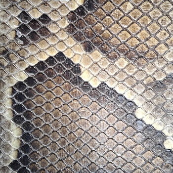 二胡蛇皮蟒皮尾部皮长16厘米宽18厘米