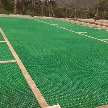 植草格塑料停车场停车位草坪绿化格栅小区护坡草坪格消防车道  500