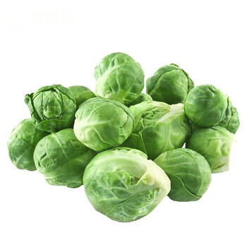 媚调 孢子甘蓝 新鲜沙拉食材抱子甘蓝 迷你小包菜小卷心菜 4斤