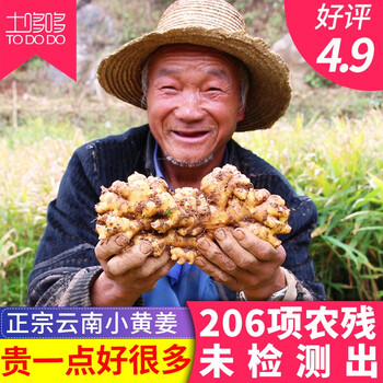 土哆哆生姜云南高山小黄姜高原种植新鲜姜现挖高山月子姜无熏硫小黄姜3斤 图片价格品牌报价 京东