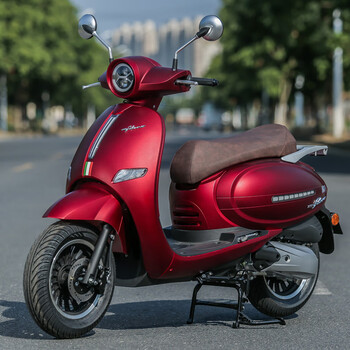 2022新款龙龟150cc踏板摩托车国四电喷碟刹省油金浪机姜戈复古龟王可