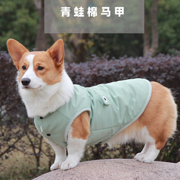 狗狗衣服秋冬季棉服加绒泰迪柯基衣服保暖猫猫衣服绿蛙3xl背长51cm
