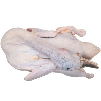 清远青头鸭农家散养老水鸭肉新鲜现杀公鸭子煲汤土麻鸭3斤