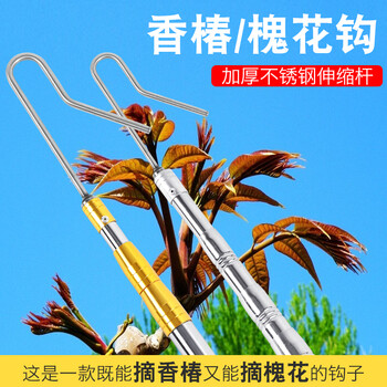 爱罗斯摘香椿的工具摘椿芽神器勾香椿芽勾子摘春芽钩草杆子够槐花香椿