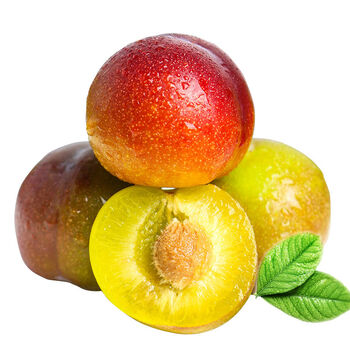 四川脱骨李子水果脆甜现摘新鲜应季茵红李半边红李子宓蝶 10斤特大果