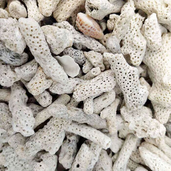 鱼缸珊瑚骨滤材珊瑚沙水族箱装饰造景过滤底沙材料除