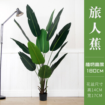 北欧仿真植物旅人蕉室内仿真绿植盆栽装饰客厅落地摆设ins假植物180cm