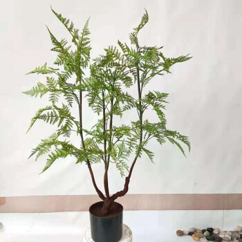 仿真绿植北欧盆景室内外仿真马尾蕨树落地样板房室内外假植物波斯蕨类
