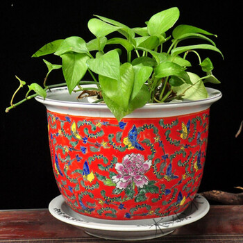 景德镇手绘粉彩陶瓷器花盆黄色万花阳台装饰树盆特大号室内兰 省之优