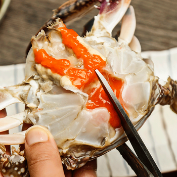 宁波红膏呛蟹舟山特产炝蟹咸蟹整只生腌螃蟹即醉蟹酱母蟹海鲜水产 红