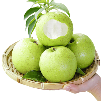 青尊园大青梨安徽砀山梨子新鲜翠冠梨当季脆嫩多汁皮薄核小大果精美