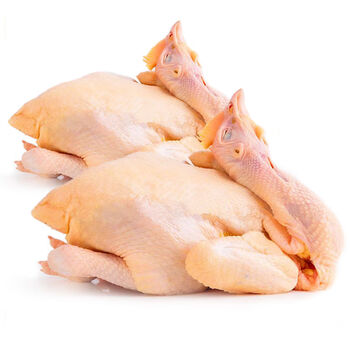 冷链运输正宗三鸡新鲜农家土鸡老母鸡笨鸡山鸡整鸡肉月子鸡两只装650