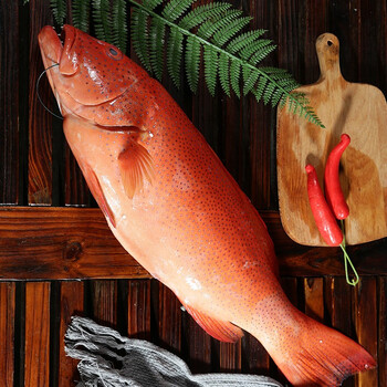 尝鲜生生鲜鱼类石斑鱼冰鲜燕尾东星斑鱼深海鲜礼盒送礼年货老虎斑东星