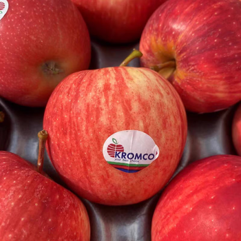 南非进口冰糖小苹果当季时令新鲜水果嘎啦富士加力牛顿苹果3斤