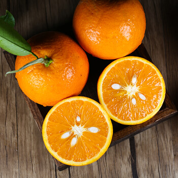 夏橙小橙子高山橙子小果5斤