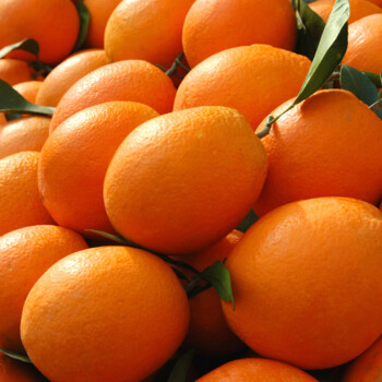 逮果纽荷尔脐橙 重庆奉节脐橙 新鲜水果橙子果径70~80mm 冰糖橙甜橙孕妇水果 纽荷尔脐橙带箱10斤装