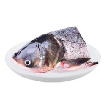 新鲜淡水鱼鱼头白鲢鱼头剁椒大鱼头鲜活食用水产胖头昌盛隆鱼头一个