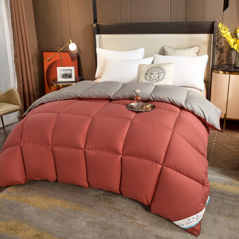 波司登羽绒被出口酒店被95白鹅绒被子被芯加厚保暖冬被双人空调双拼酒