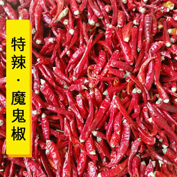辣椒变态辣干辣椒特辣干小米辣干红辣椒魔鬼辣椒面辣椒粉 整个辣椒