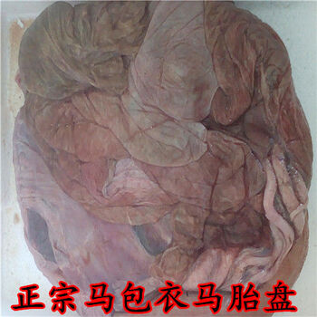 正宗新鲜马胎盘马包衣营养高质量好一副一斤以上正宗新鲜马胎盘马包衣