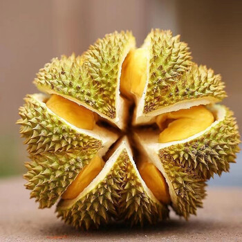 晨木鲜生 泰国进口金枕头榴莲水果 新鲜榴莲生鲜水果 巴掌榴莲 3-4斤